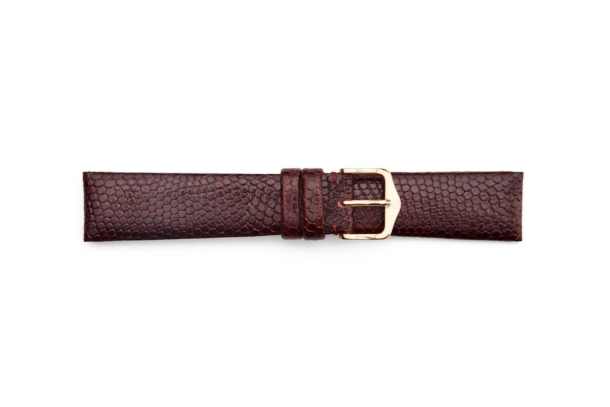 STR-4462L-Brown Flat Lizard Grain Long Watch Strap with No Stitching